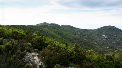 trail giglio castello sasso ritto prev