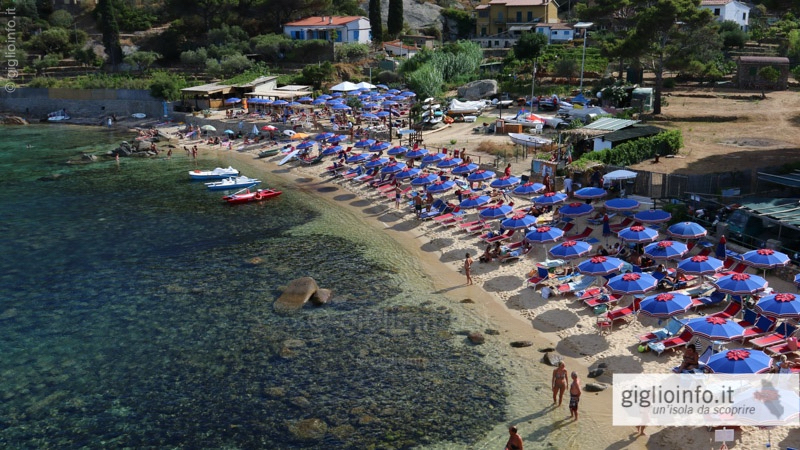 Isola Del Giglio Spiagge E Coste Campese Arenella