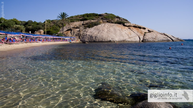 Isola Del Giglio Spiagge E Coste Campese Arenella