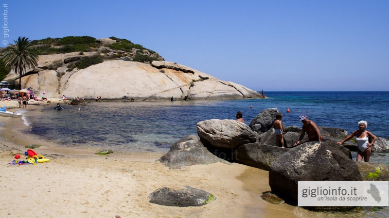 Isola Del Giglio Spiagge E Coste Campese Arenella