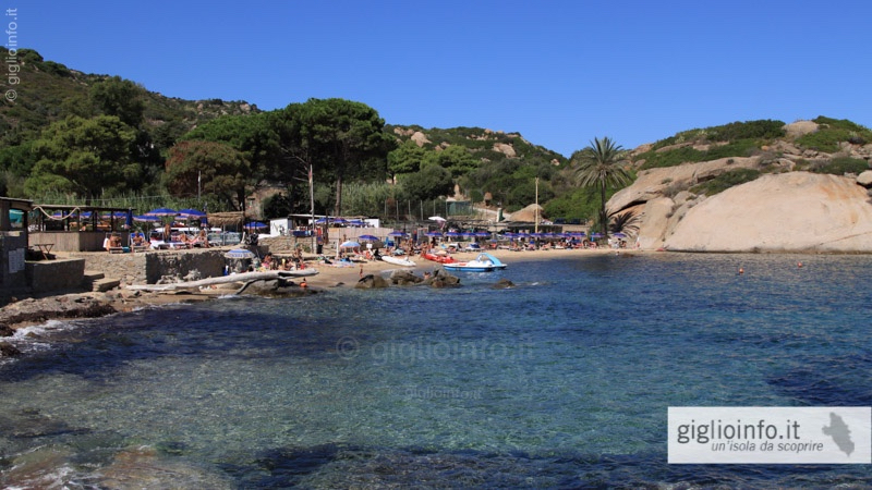 Isola Del Giglio Spiagge E Coste Campese Arenella