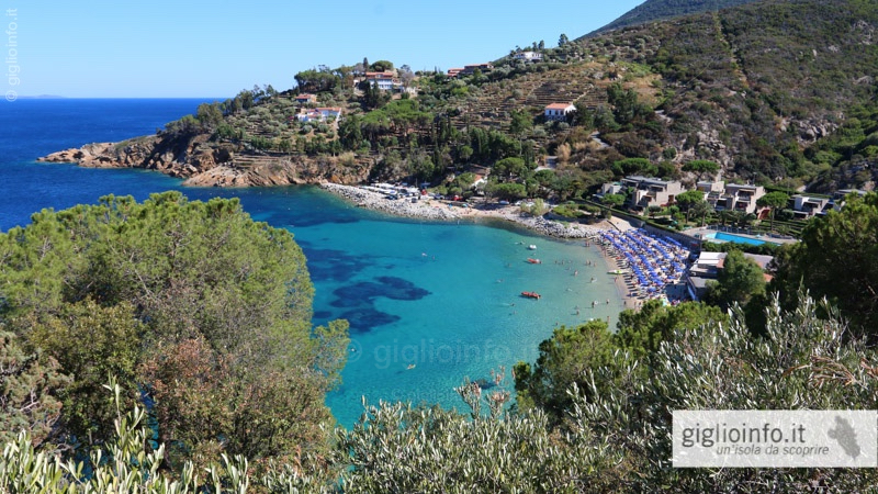 Beaches And Coast Giglio Island Campese Arenella Cannelle