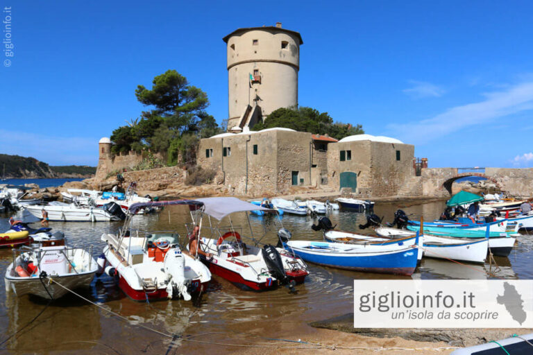 Porticciolo con Torre di Giglio Campese, Isola del Giglio