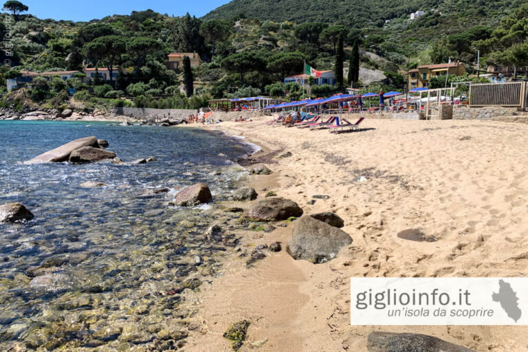 Spiaggia dell'Arenella, Isola del Giglio