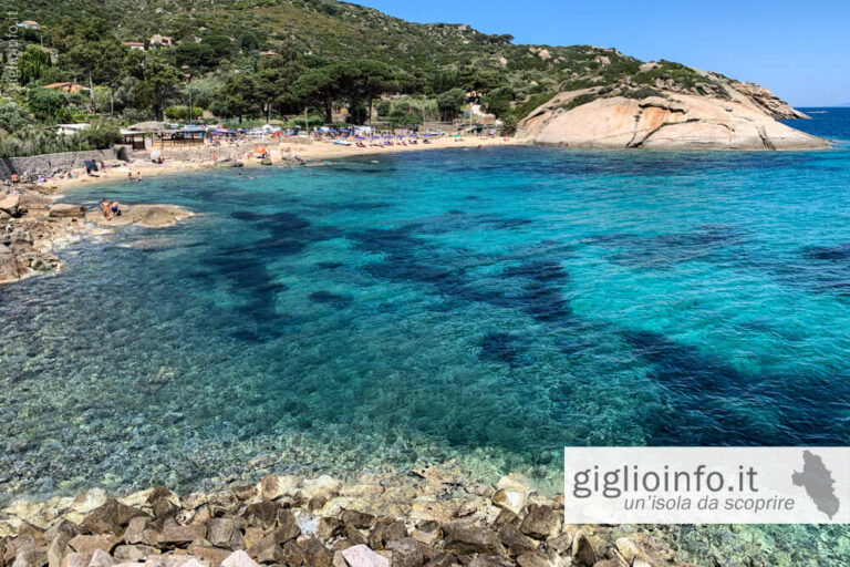 Veduta Spiaggia dell'Arenella, Isola del Giglio