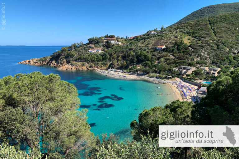 Veduta Spiaggia delle Cannelle, Isola del Giglio