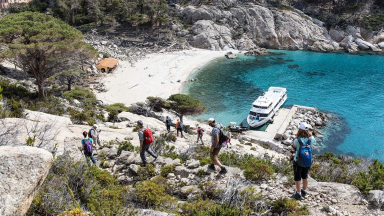 Dicesa alla spiaggia di Cala Maestra, Isola di Montecristo, di un gruppo di escursionisti