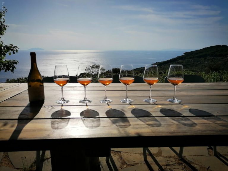 Bicchieri su un tavolo con vista mare, Azienda Agricola Castellari Isola del Giglio