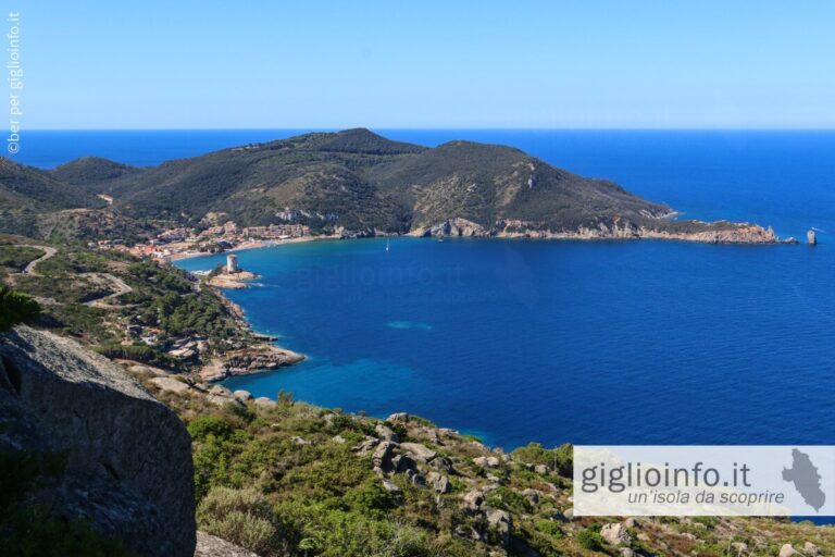 Veduta della Baia di Giglio Campese dal Poggio delle Serre, Isola del Giglio