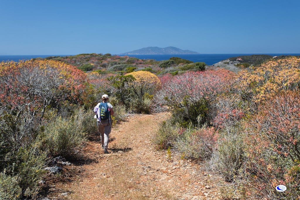 Persona su un sentiero dell'Isola di Giannutri durante Trekking con vista Isola del Giglio