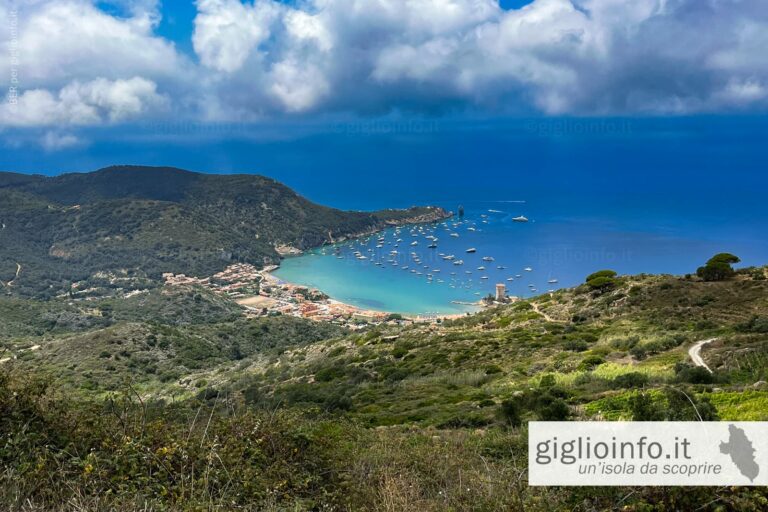 barche ancorate nella baia di Giglio Campese nei giorni con vento di Scirocco