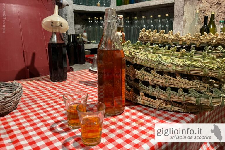 Cantina all'interno del Giglio Castello con bottiglie e bicchier di Ansonaco
