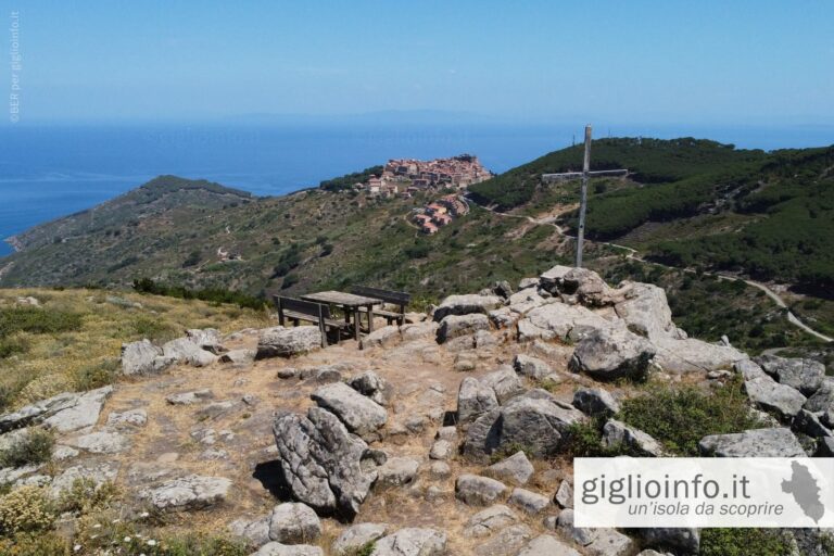 Poggio della Pagana con Giglio Castello - Trekking Isola del Giglio