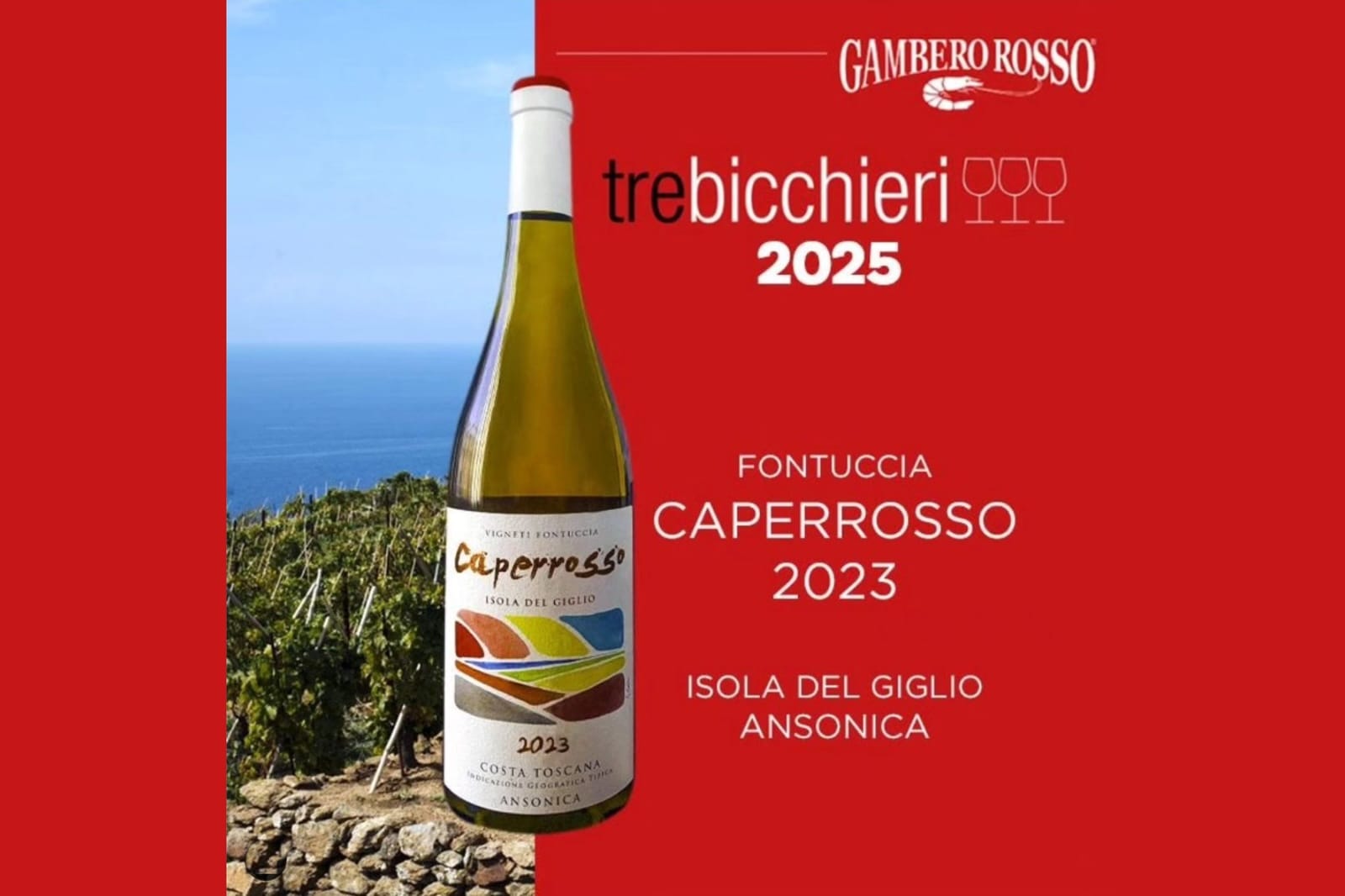 Gambero Rosso Tre Bicchieri 2025 Fontuccia Caperrosso